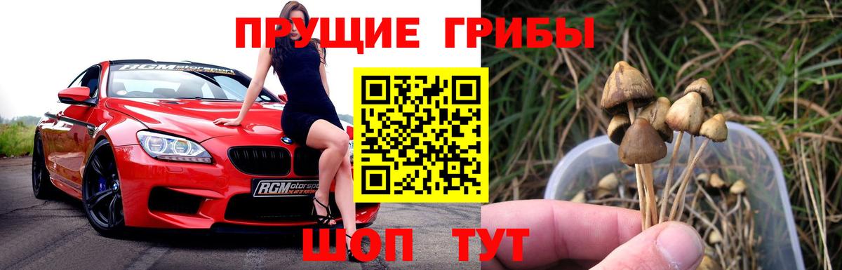 Псилоцибиновые грибы прущие грибы Арсеньев